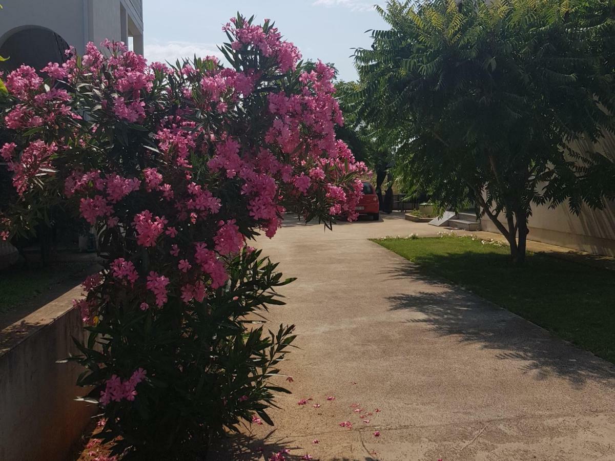 Sunset Apartments Zaton زاتون المظهر الخارجي الصورة